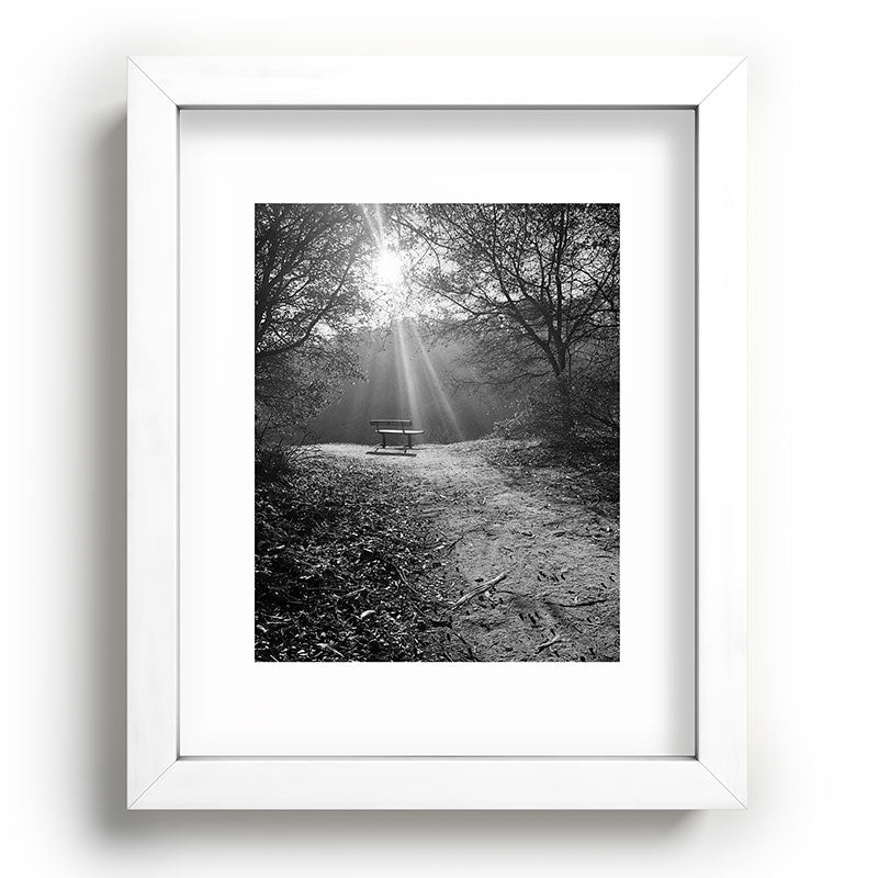 "Sunlit Solitude" by Maria Popova Framed Art Print