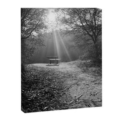 "Sunlit Solitude" by Maria Popova Canvas Print