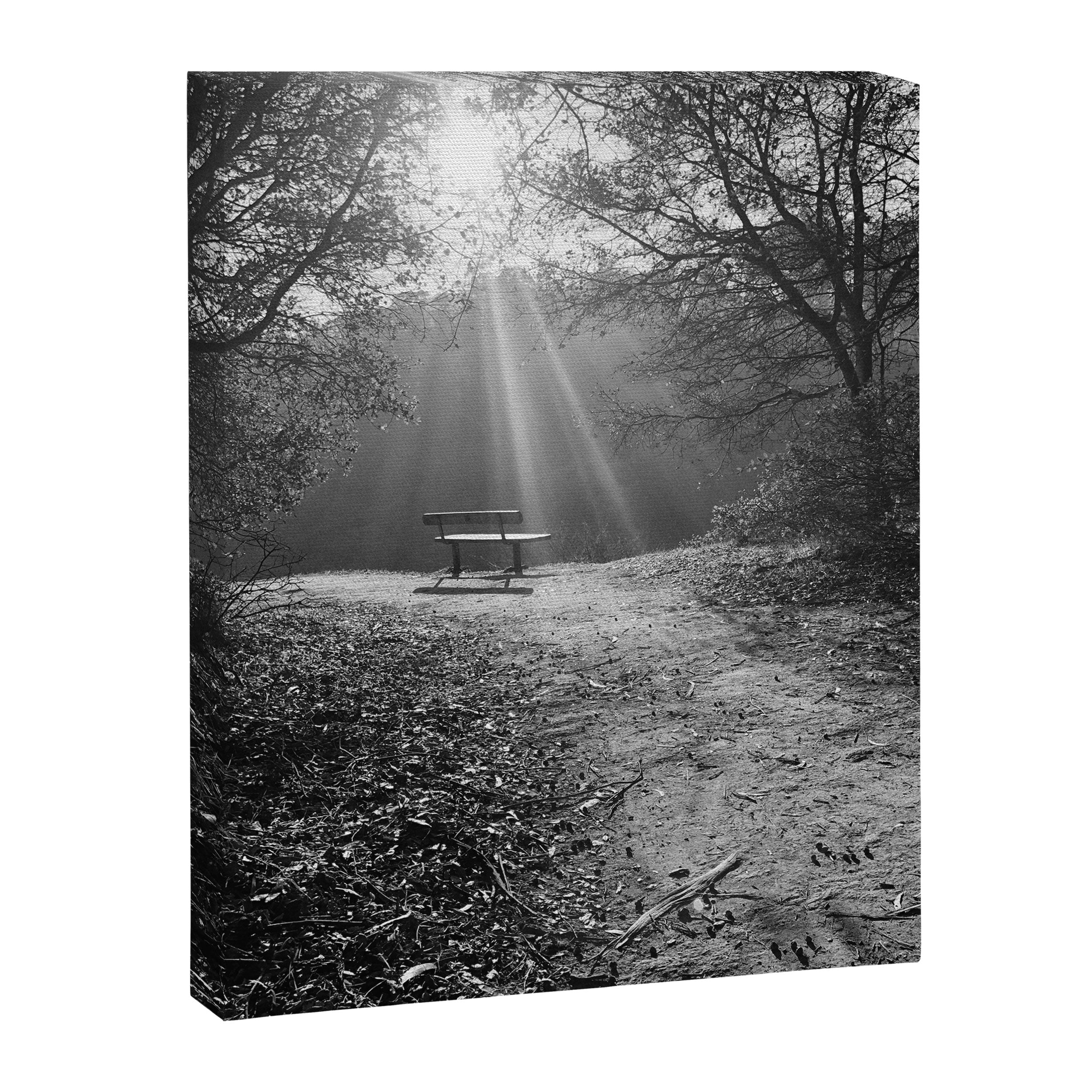 "Sunlit Solitude" by Maria Popova Canvas Print