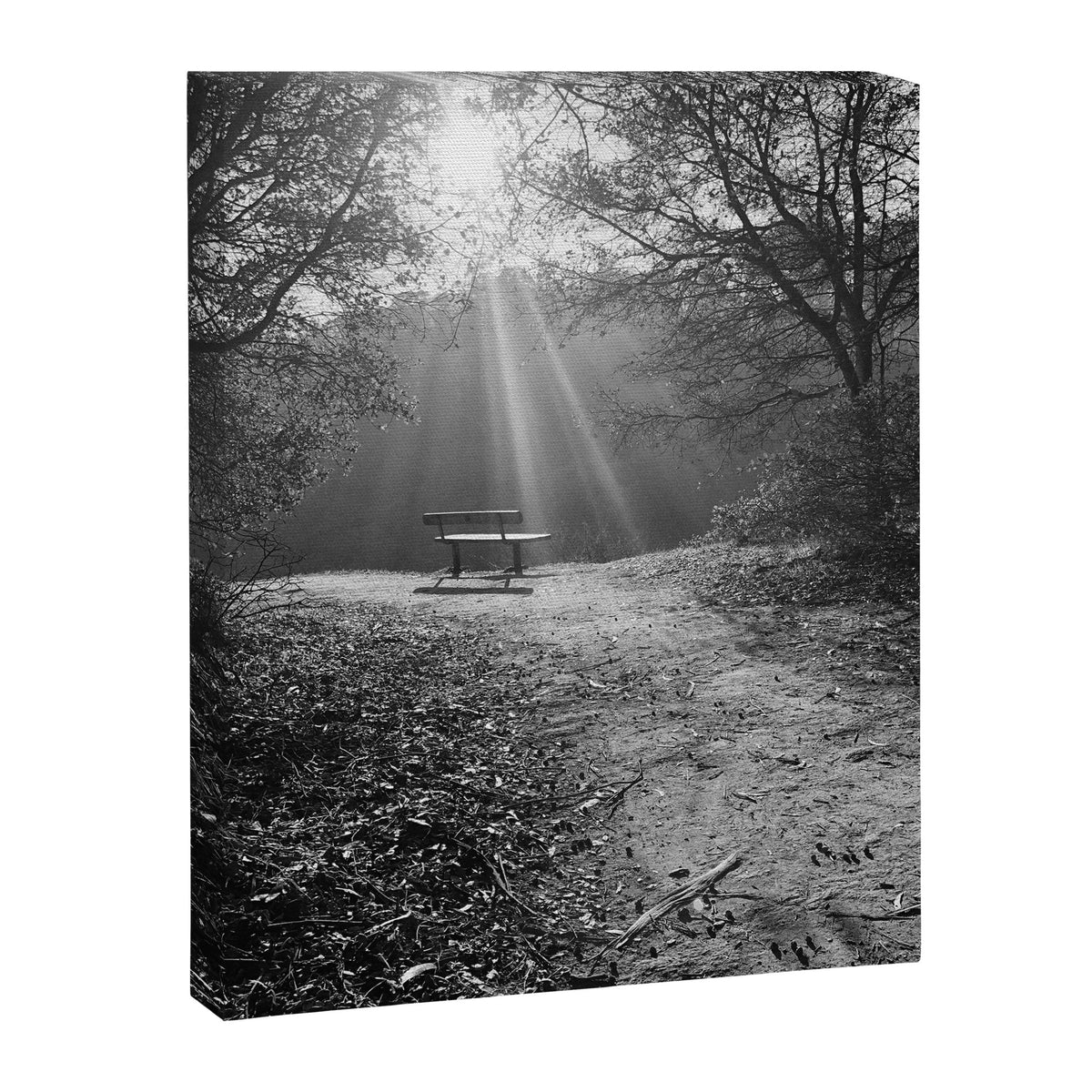 "Sunlit Solitude" by Maria Popova Canvas Print