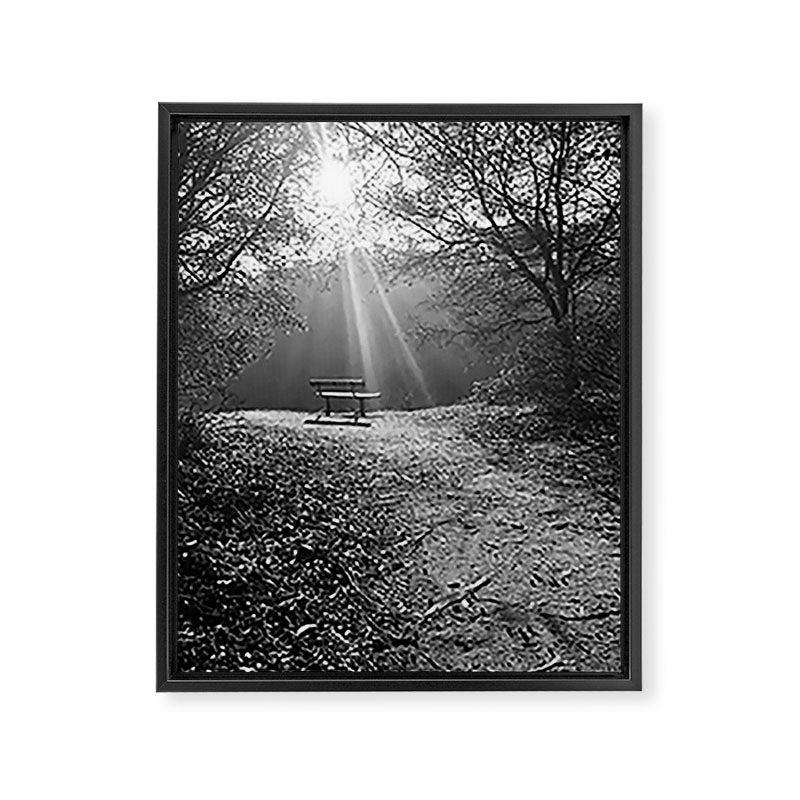 "Sunlit Solitude" by Maria Popova Framed Canvas Print