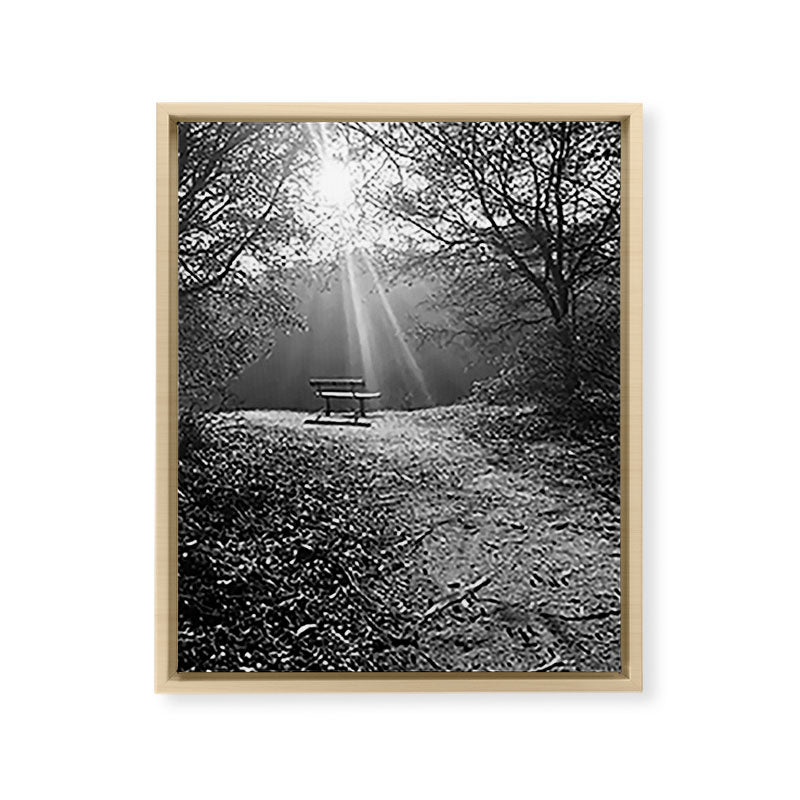 "Sunlit Solitude" by Maria Popova Framed Canvas Print