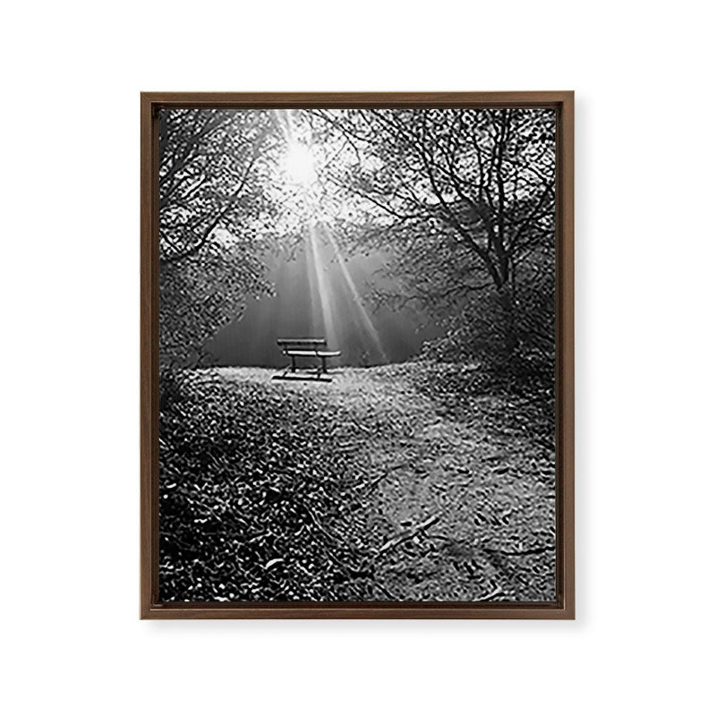 "Sunlit Solitude" by Maria Popova Framed Canvas Print