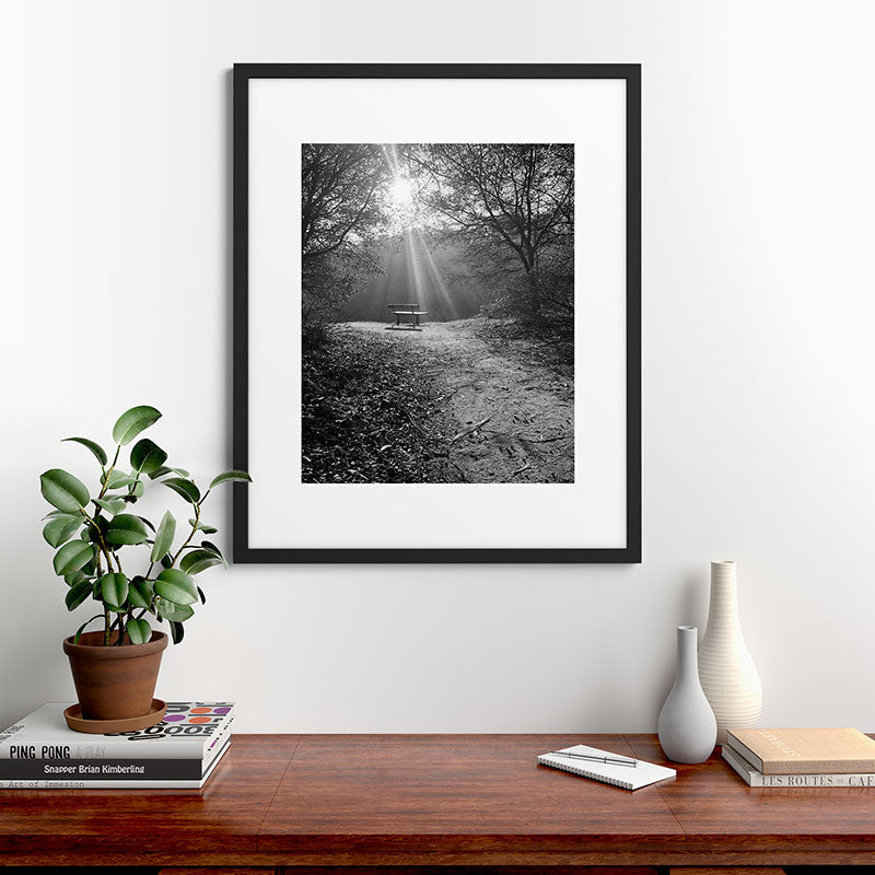"Sunlit Solitude" by Maria Popova Framed Art Print
