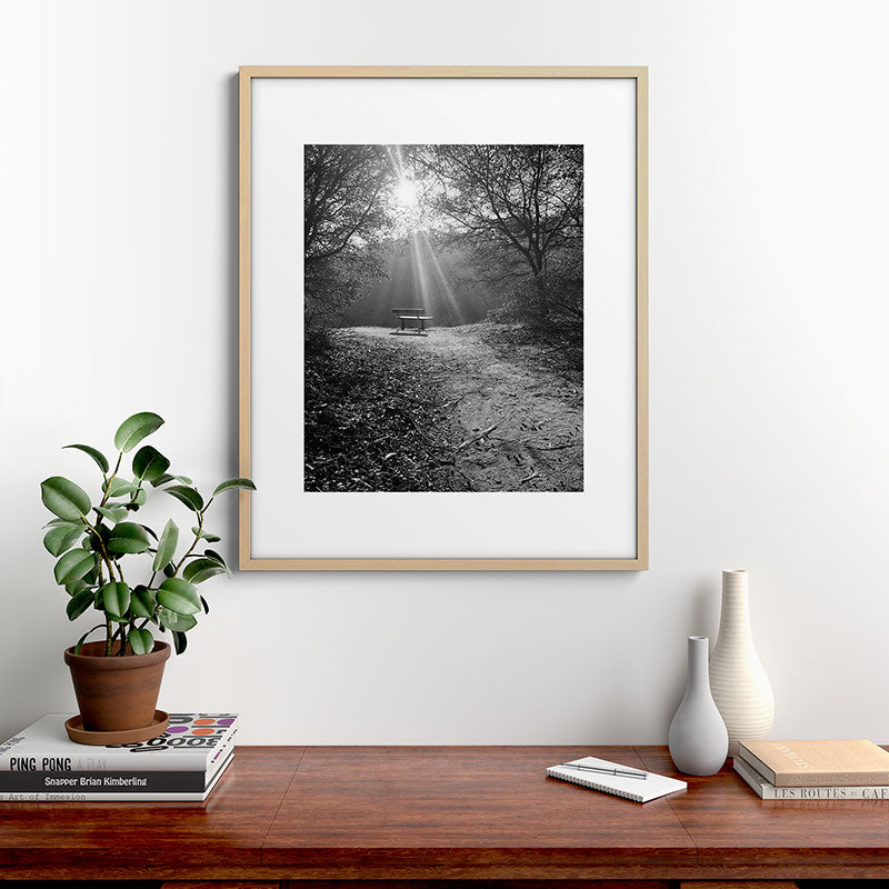 "Sunlit Solitude" by Maria Popova Framed Art Print
