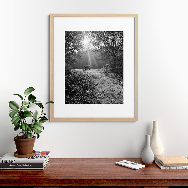 "Sunlit Solitude" by Maria Popova Framed Art Print