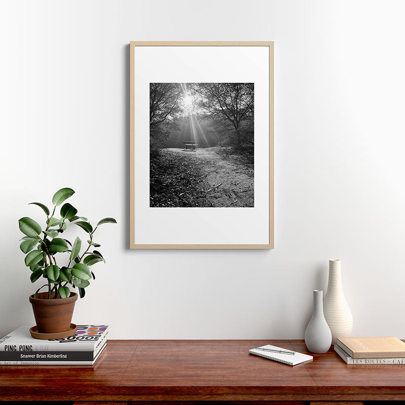 "Sunlit Solitude" by Maria Popova Framed Art Print