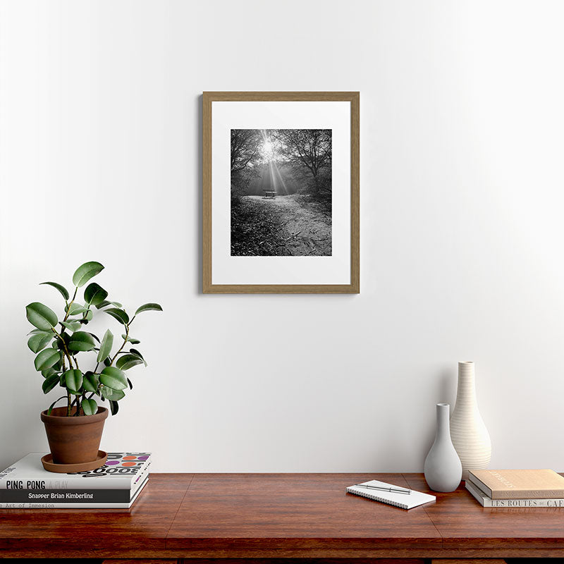 "Sunlit Solitude" by Maria Popova Framed Art Print