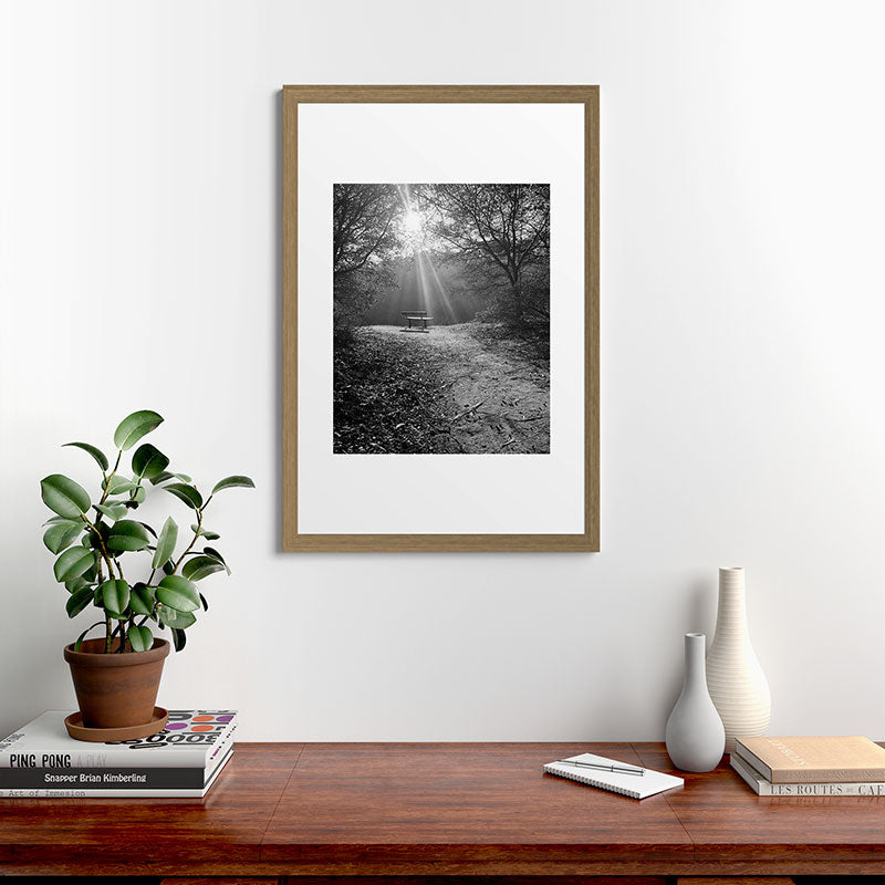 "Sunlit Solitude" by Maria Popova Framed Art Print