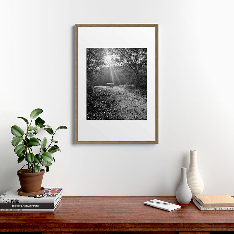 "Sunlit Solitude" by Maria Popova Framed Art Print