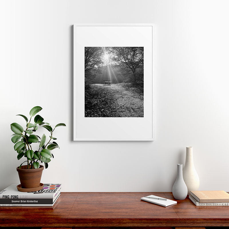 "Sunlit Solitude" by Maria Popova Framed Art Print