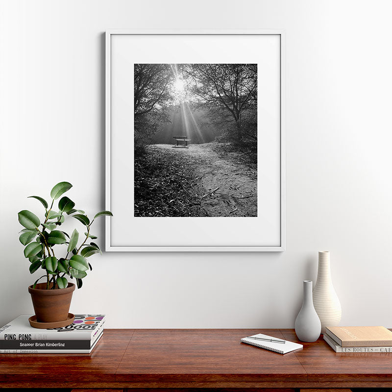"Sunlit Solitude" by Maria Popova Framed Art Print