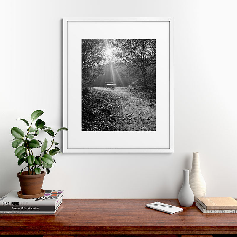 "Sunlit Solitude" by Maria Popova Framed Art Print