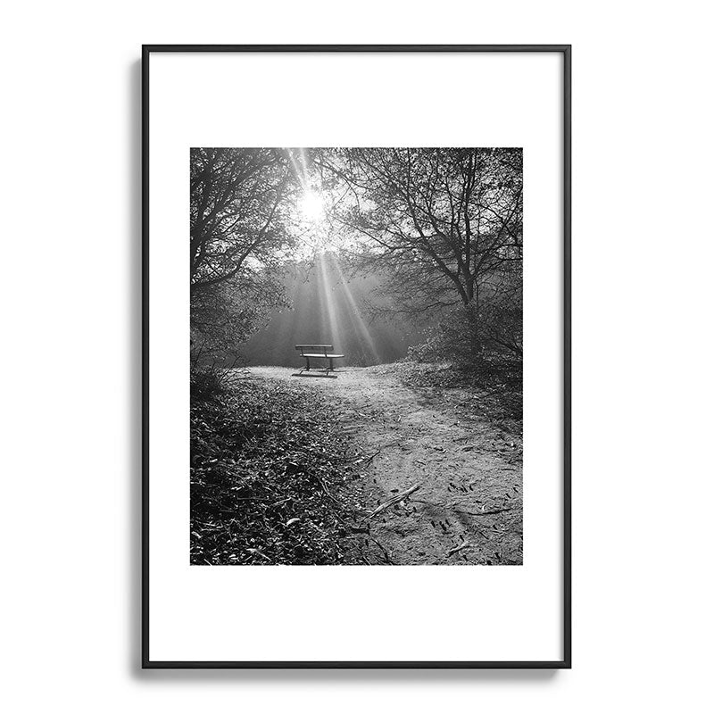 "Sunlit Solitude" by Maria Popova Framed Art Print