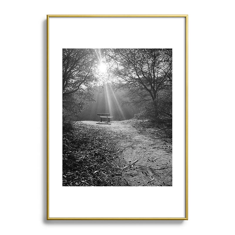 "Sunlit Solitude" by Maria Popova Framed Art Print