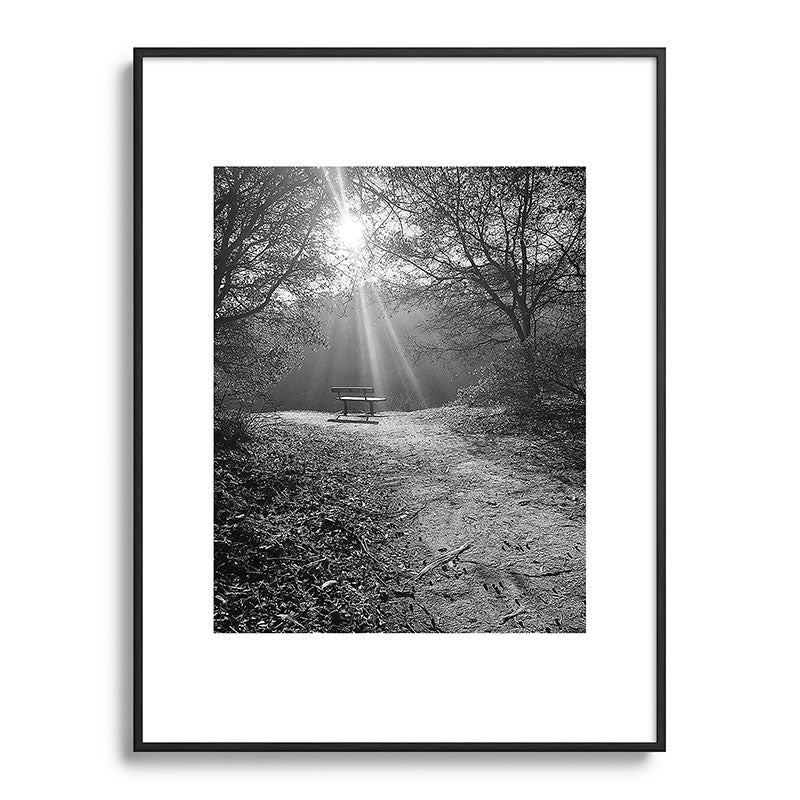 "Sunlit Solitude" by Maria Popova Framed Art Print