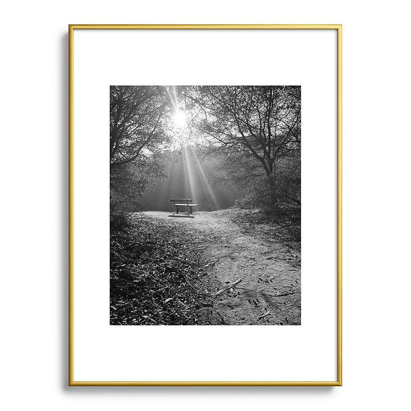 "Sunlit Solitude" by Maria Popova Framed Art Print