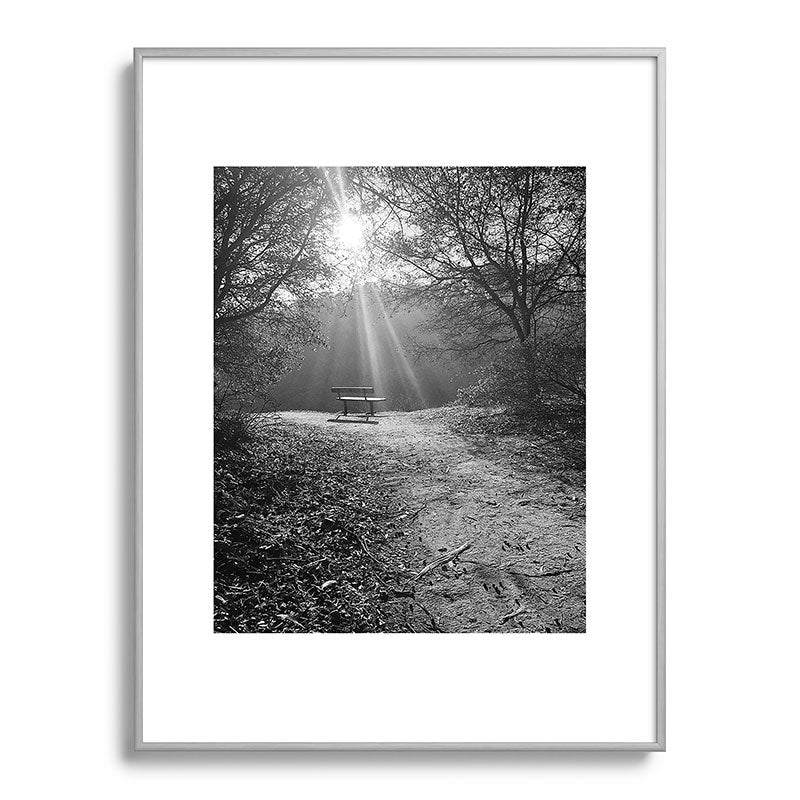 "Sunlit Solitude" by Maria Popova Framed Art Print