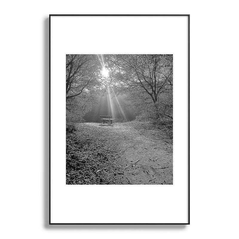 "Sunlit Solitude" by Maria Popova Framed Art Print