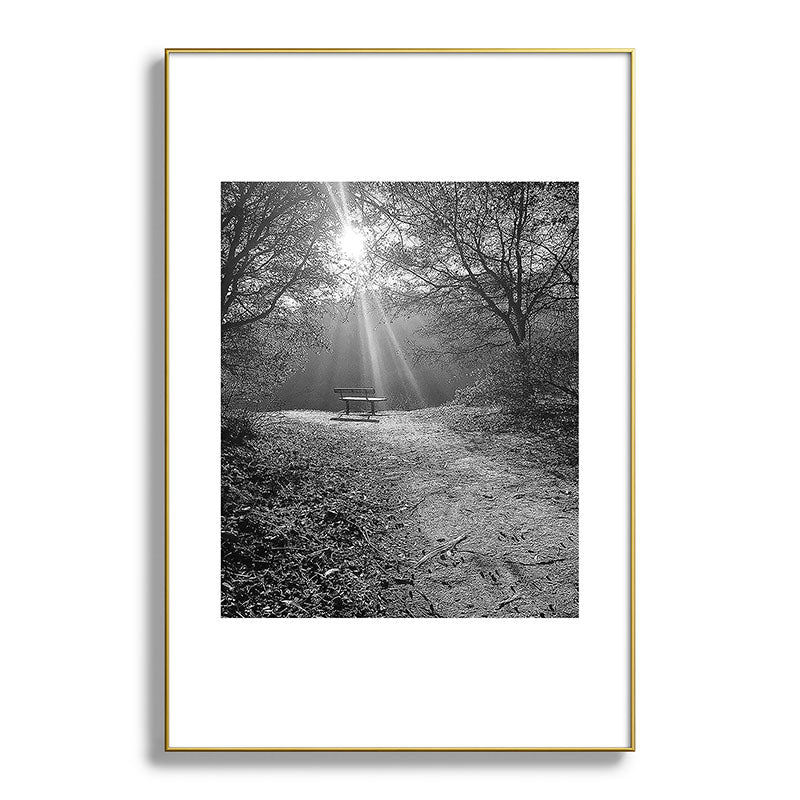 "Sunlit Solitude" by Maria Popova Framed Art Print
