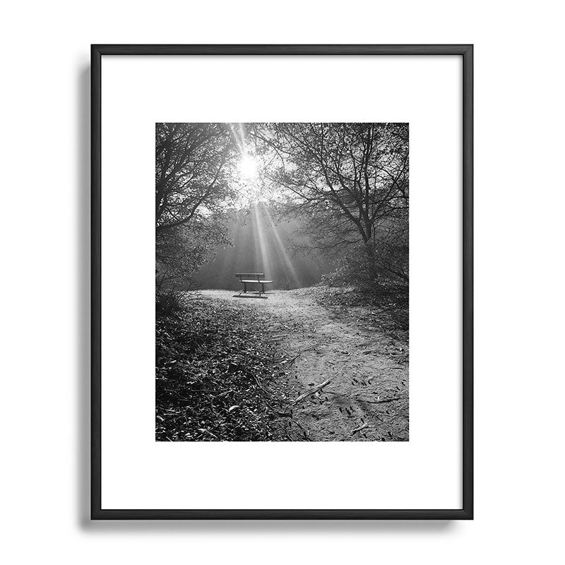 "Sunlit Solitude" by Maria Popova Framed Art Print