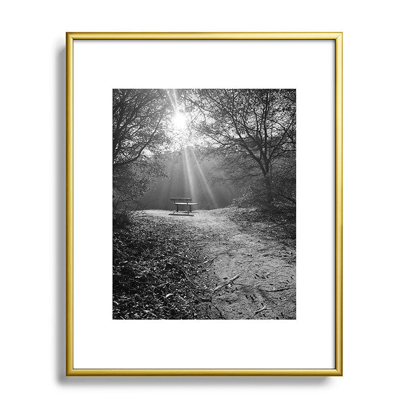 "Sunlit Solitude" by Maria Popova Framed Art Print