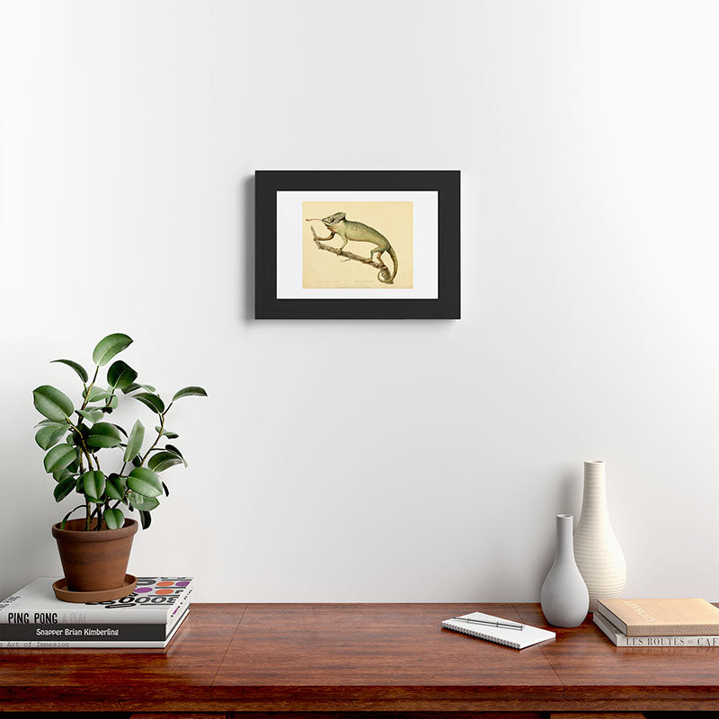 "The Chameleon" from the Leverian Collection, 1790s Framed Art Print