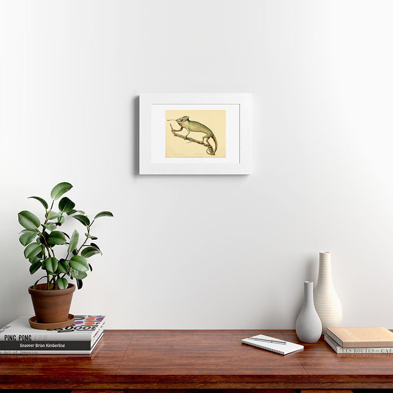 "The Chameleon" from the Leverian Collection, 1790s Framed Art Print