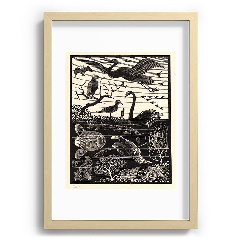 "The Fifth Day of Creation" by M.C. Escher Framed Art Print