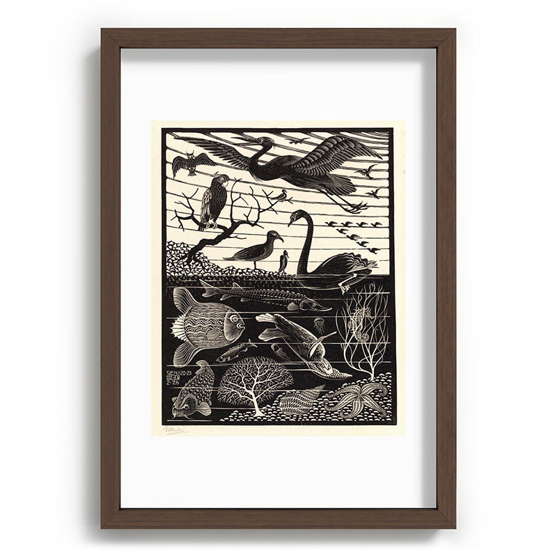 "The Fifth Day of Creation" by M.C. Escher Framed Art Print