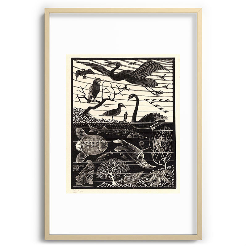 "The Fifth Day of Creation" by M.C. Escher Framed Art Print