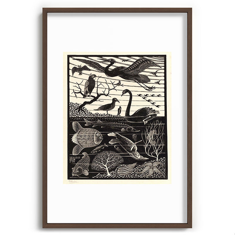 "The Fifth Day of Creation" by M.C. Escher Framed Art Print