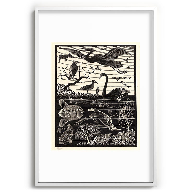 "The Fifth Day of Creation" by M.C. Escher Framed Art Print