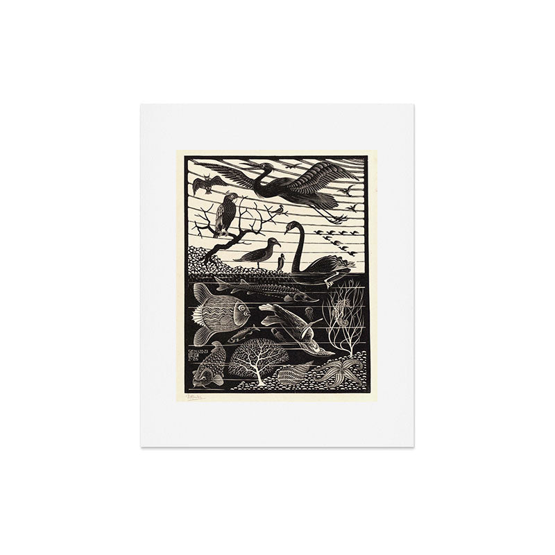 "The Fifth Day of Creation" by M.C. Escher Art Print