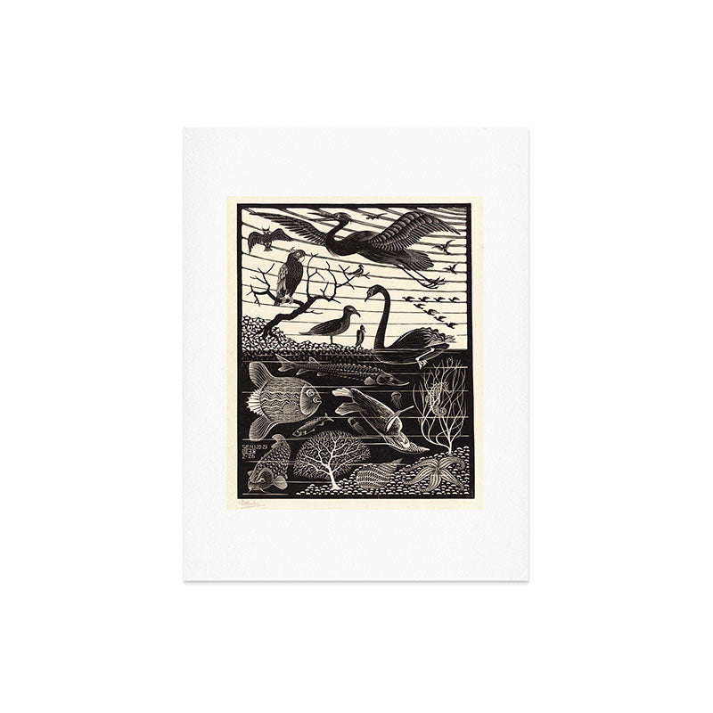 "The Fifth Day of Creation" by M.C. Escher Art Print