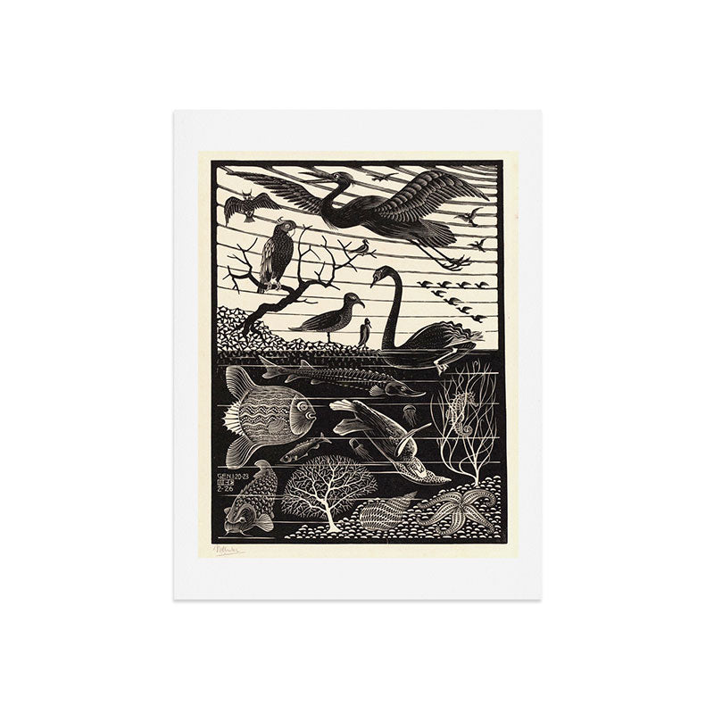 "The Fifth Day of Creation" by M.C. Escher Art Print