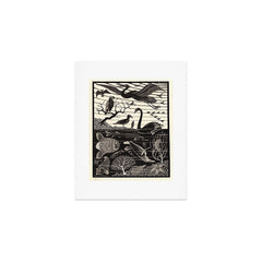 "The Fifth Day of Creation" by M.C. Escher Art Print