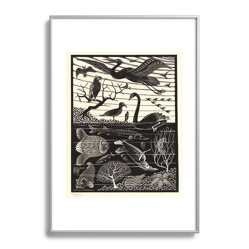 "The Fifth Day of Creation" by M.C. Escher Framed Art Print