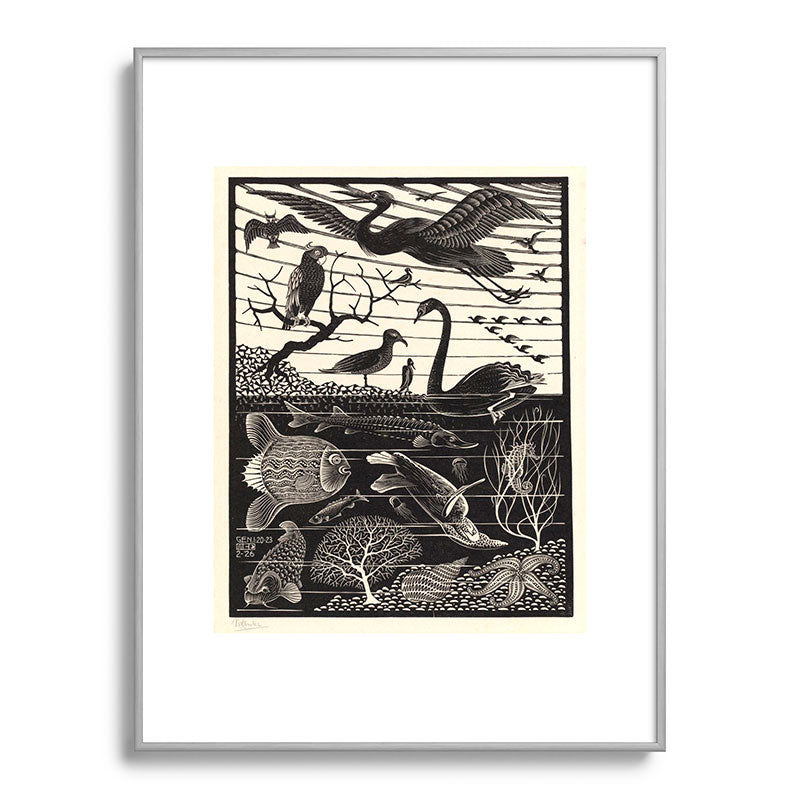 "The Fifth Day of Creation" by M.C. Escher Framed Art Print