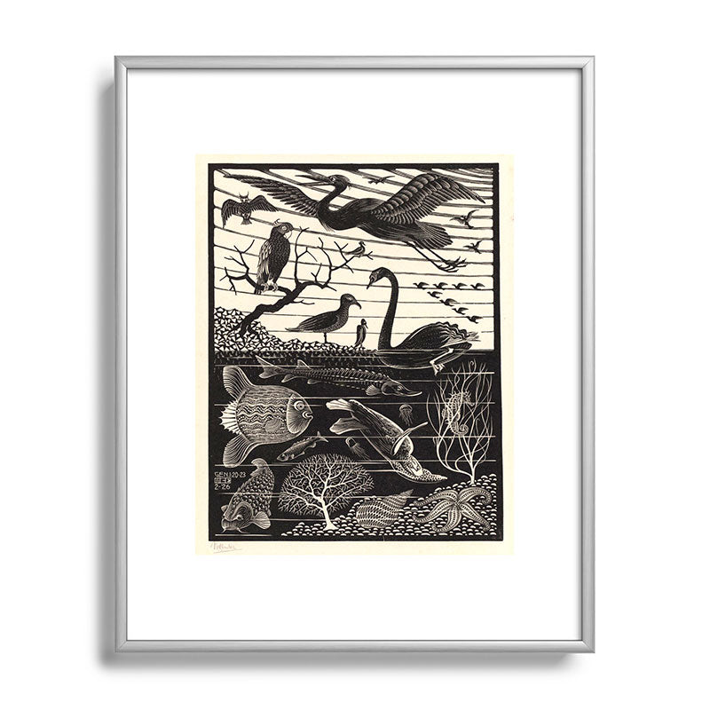 "The Fifth Day of Creation" by M.C. Escher Framed Art Print