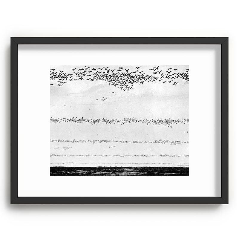 "The Later Flights of the Passenger Pigeon" by Frank Bond, 1920 (benefitting The Nature Conservancy) Framed Art Print