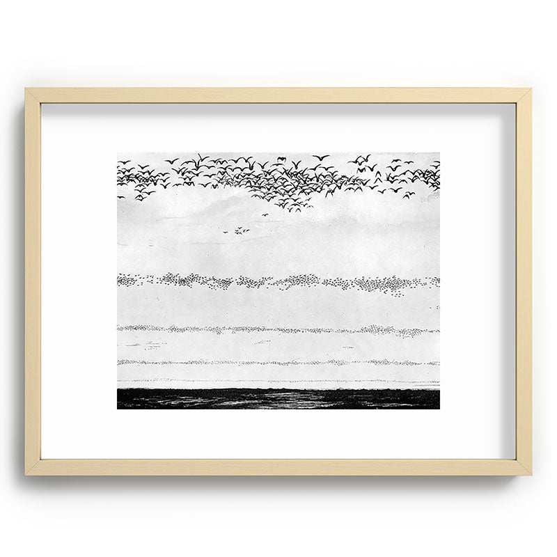 "The Later Flights of the Passenger Pigeon" by Frank Bond, 1920 (benefitting The Nature Conservancy) Framed Art Print