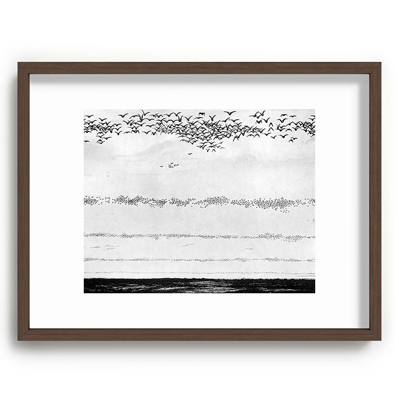 "The Later Flights of the Passenger Pigeon" by Frank Bond, 1920 (benefitting The Nature Conservancy) Framed Art Print