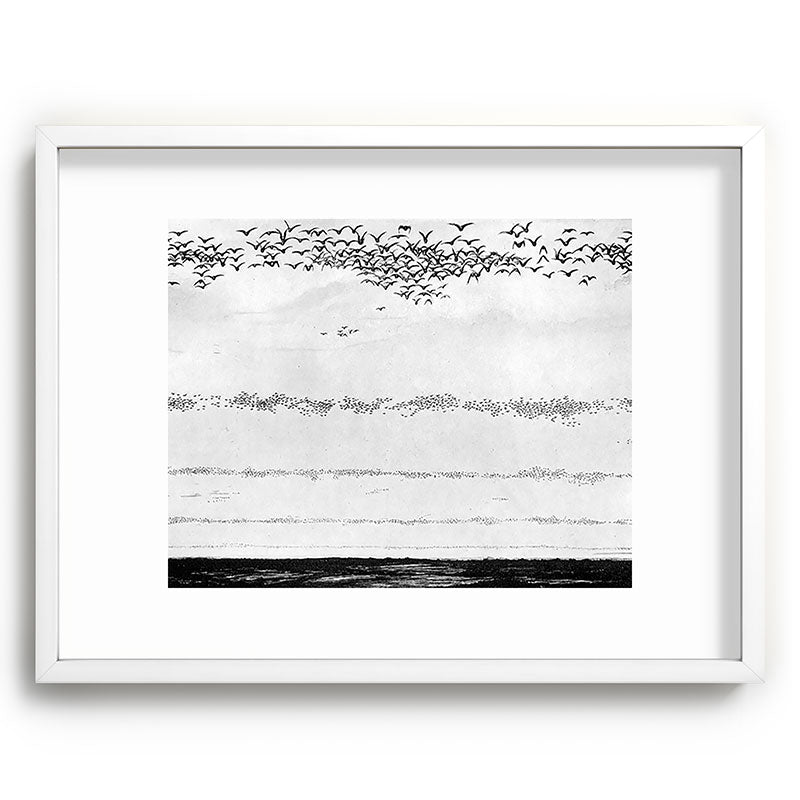 "The Later Flights of the Passenger Pigeon" by Frank Bond, 1920 (benefitting The Nature Conservancy) Framed Art Print