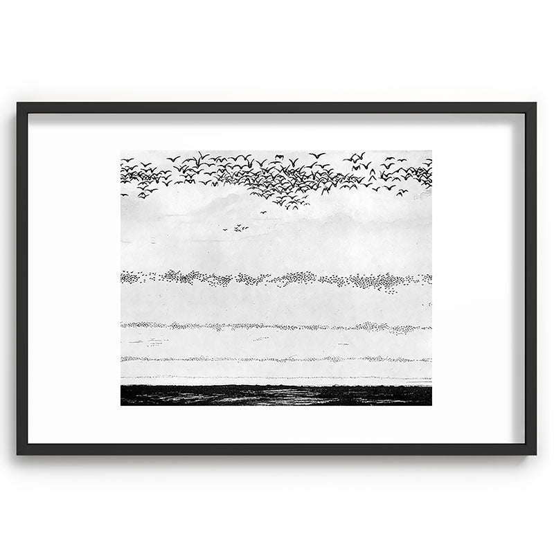 "The Later Flights of the Passenger Pigeon" by Frank Bond, 1920 (benefitting The Nature Conservancy) Framed Art Print