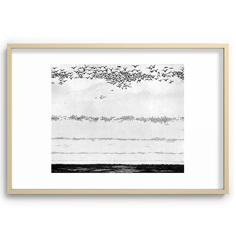 "The Later Flights of the Passenger Pigeon" by Frank Bond, 1920 (benefitting The Nature Conservancy) Framed Art Print