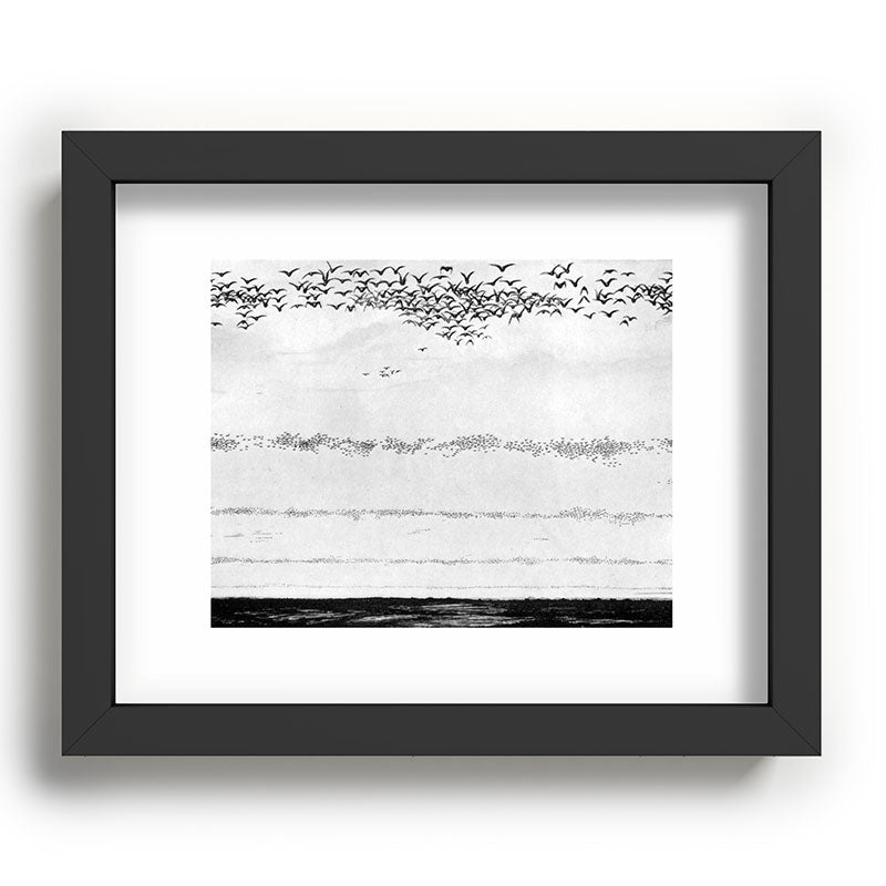"The Later Flights of the Passenger Pigeon" by Frank Bond, 1920 (benefitting The Nature Conservancy) Framed Art Print