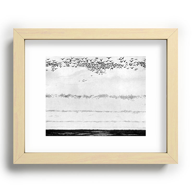 "The Later Flights of the Passenger Pigeon" by Frank Bond, 1920 (benefitting The Nature Conservancy) Framed Art Print
