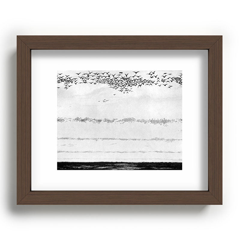 "The Later Flights of the Passenger Pigeon" by Frank Bond, 1920 (benefitting The Nature Conservancy) Framed Art Print