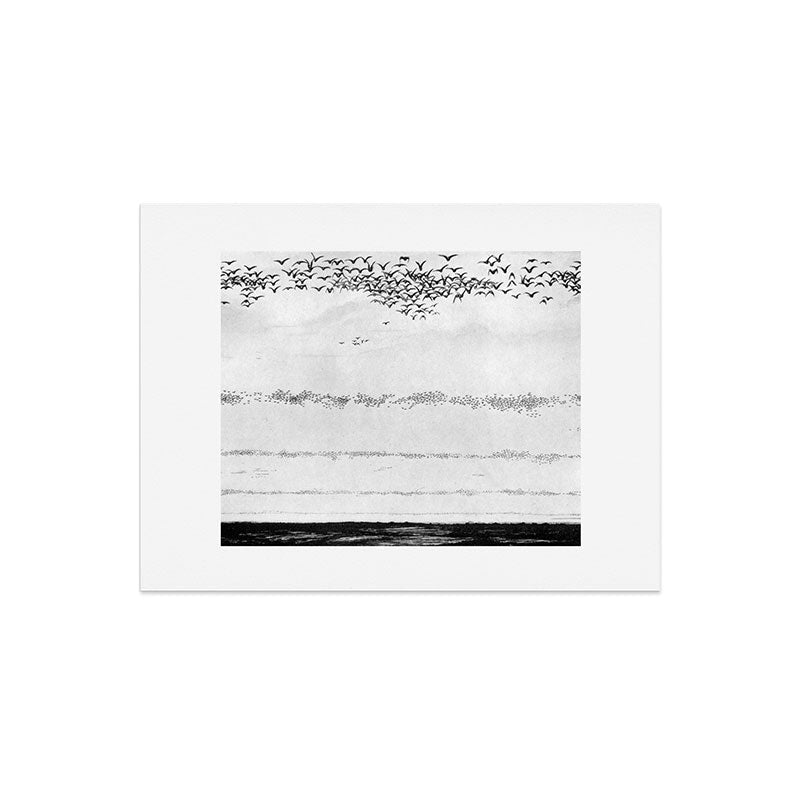 "The Later Flights of the Passenger Pigeon" by Frank Bond, 1920 (benefitting The Nature Conservancy) Art Print